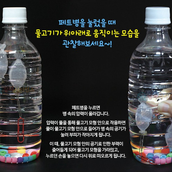 (SA) 오르락 내리락 물고기 잠수함 (1인)