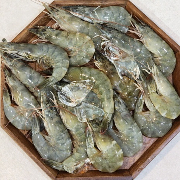 국내산 냉동 흰다리새우 1kg 중