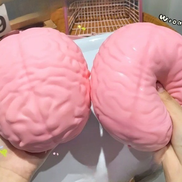 대왕 점보 두뇌 뇌 말랑이 타바 스퀴시 스트레스볼 슬라임 마시멜로우 촉감놀이 친구 우정