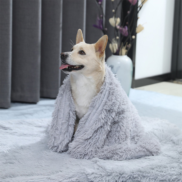 부드러운 강아지 고양이 사계절 담요 78x54cm 블루