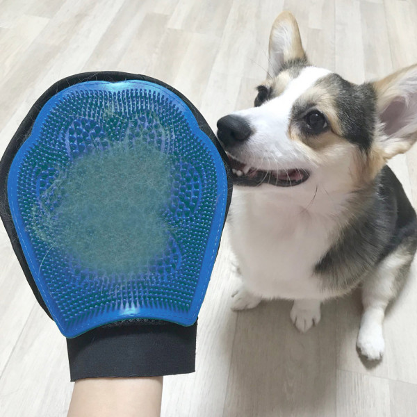 개 고양이 털정리 장갑