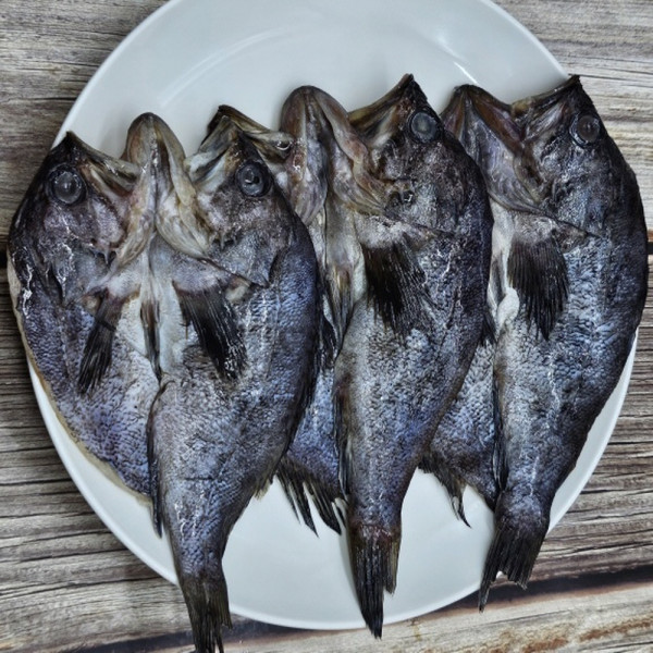 반건조 우럭 9미
