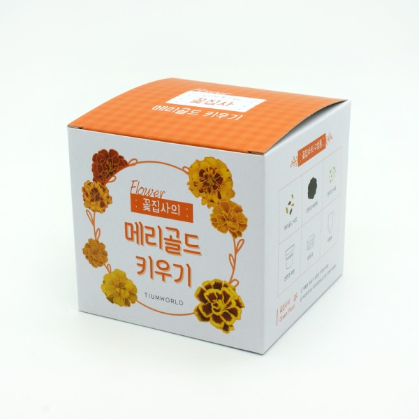 꽃집사 메리골드