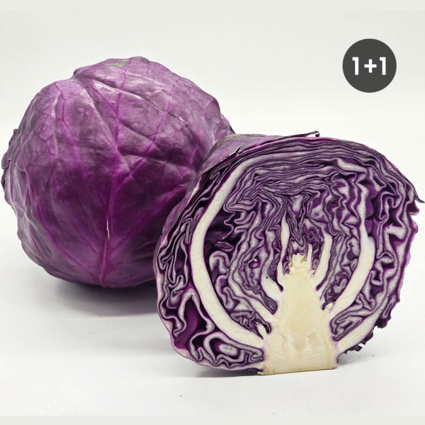 국내산 적양배추 2kg (1+1/총4kg), 제주산