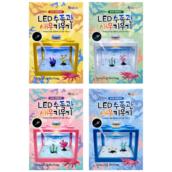 LED 수족관 새우키우기(랜덤)