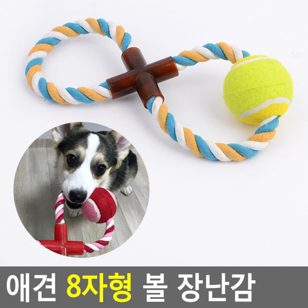 애견 8자형 볼 장난감