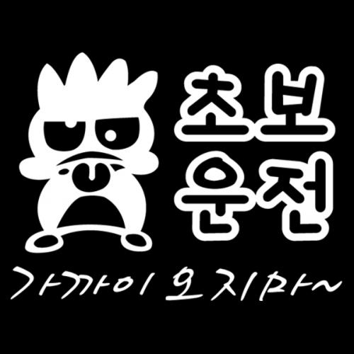 VIP 293 초보운전데코 스티커05번 디자인