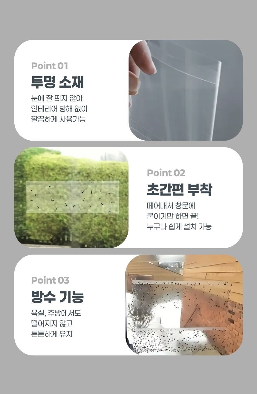 스티커 내부에 포착된 벌레 모습 확대