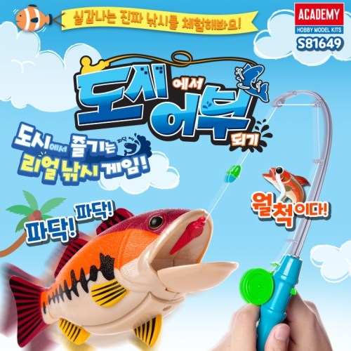 도시에서 어부되기