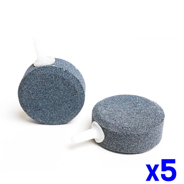 에어스톤 기포석 기포돌 8cm x5개