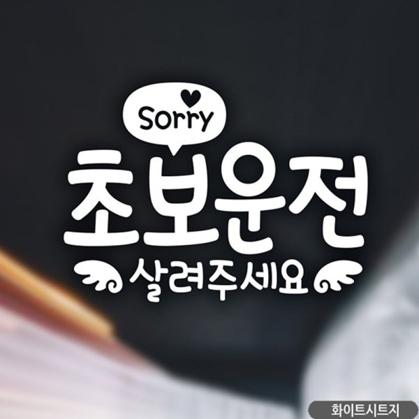 Sorry 초보운전살려주세요 초보자동차스티커 화이트 차량용스티커