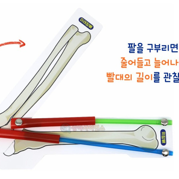 (SA) 몸이 움직이는 원리 팔 모형 (구멍뚫린 빨대)4인
