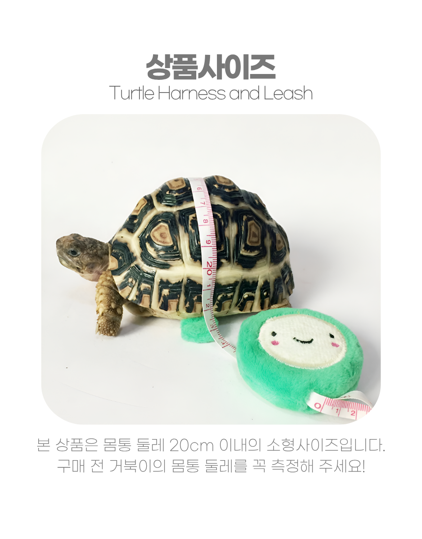 상세1