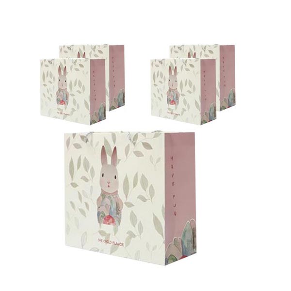 핑크래빗쇼핑백대5개 30x12x27cm