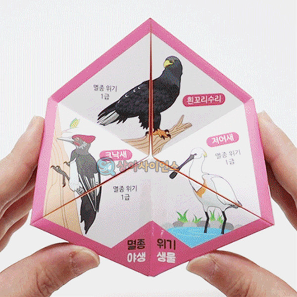 (SA) 칼레이도사이클 (멸종위기 생물)(5인 세트)