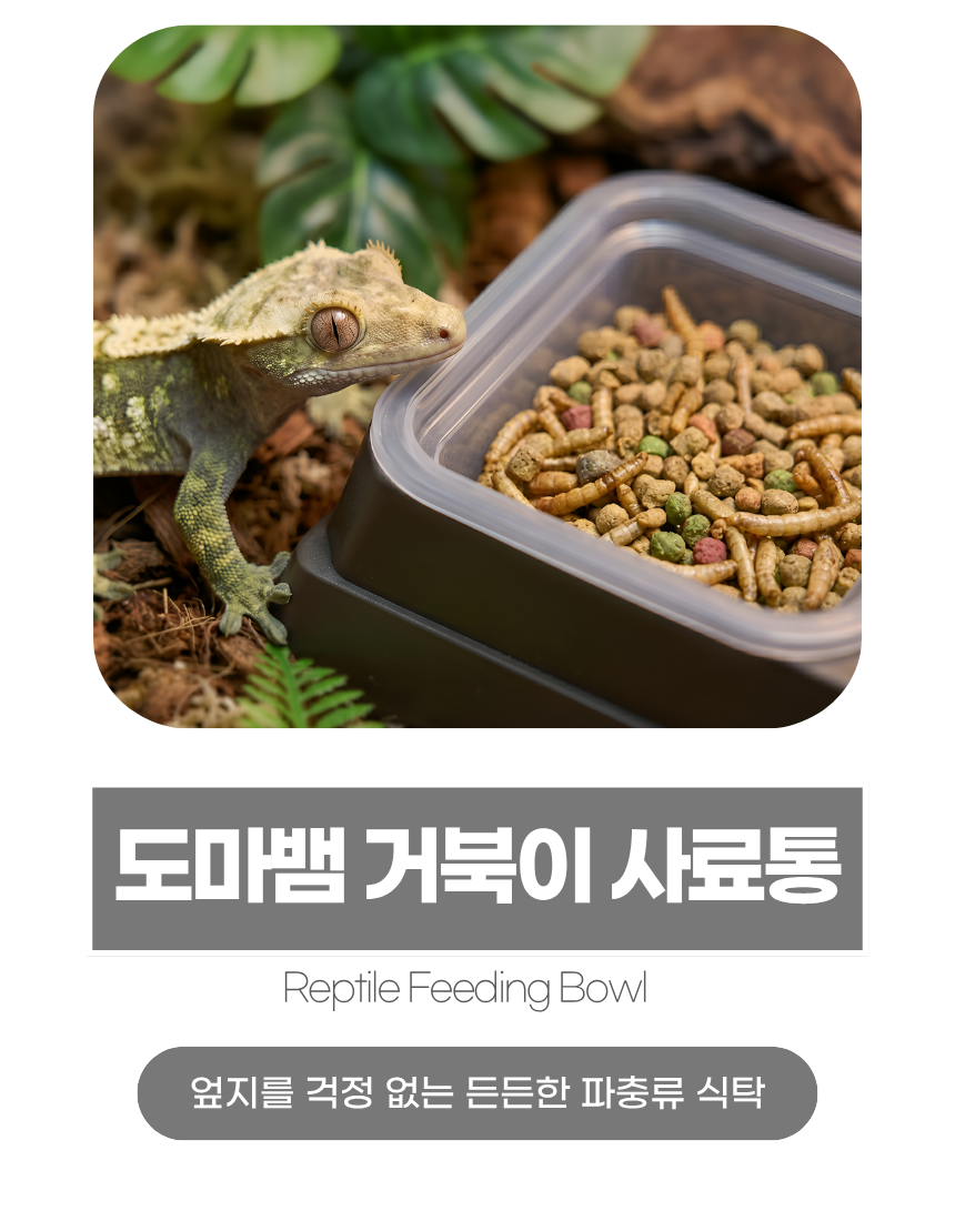 상세1