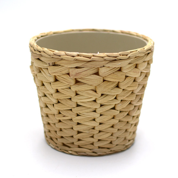 프리드풀 천연 부레옥잠 화분 12cm