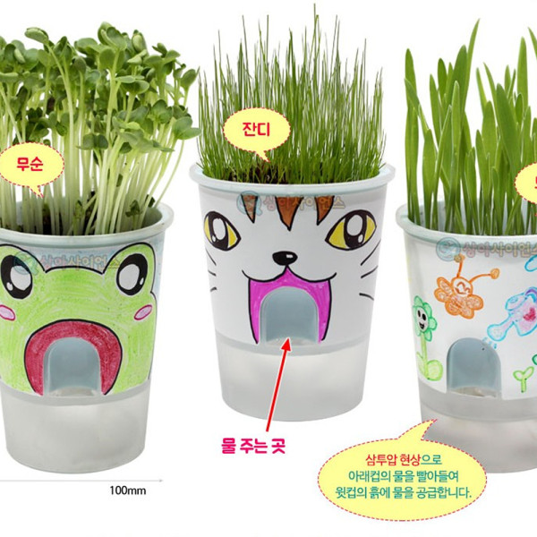 (SA) 거꾸로 물주기 화분 (식물키우기)(1인)