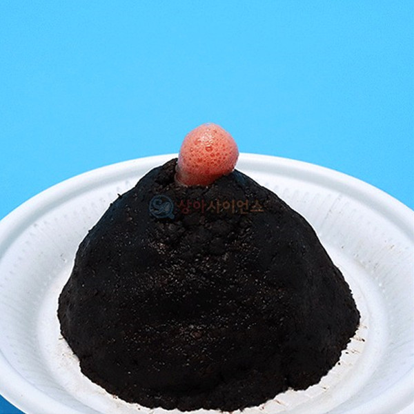 (SA) 커피박 화산분출 모형실험(1인)