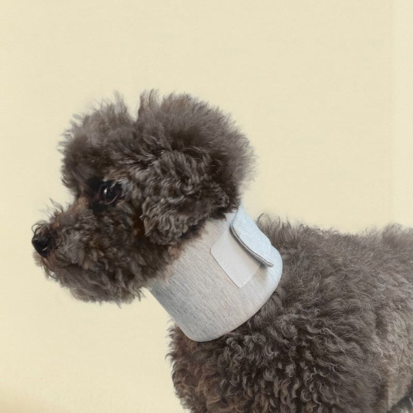 강아지 고양이 목토시 목보호대