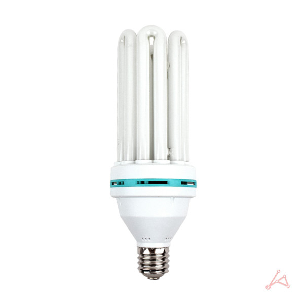 장수 고와트 삼파장 100W 주광색